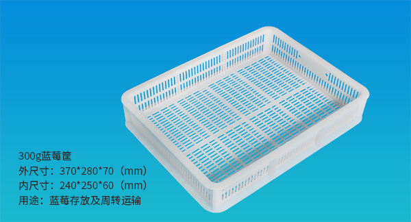 1570498796483825.jpg 蓝莓筐300g.jpg